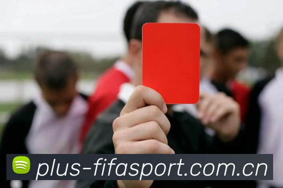 FIFA官方数据授权认证